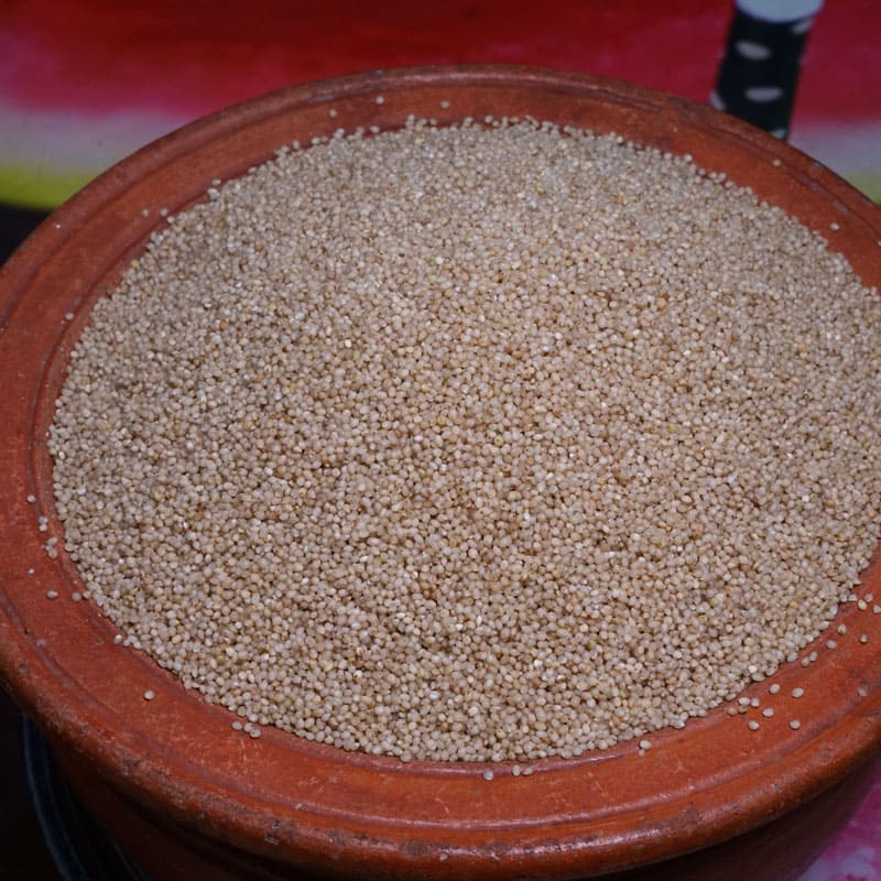 kudhiraivali-main kudhiraivali