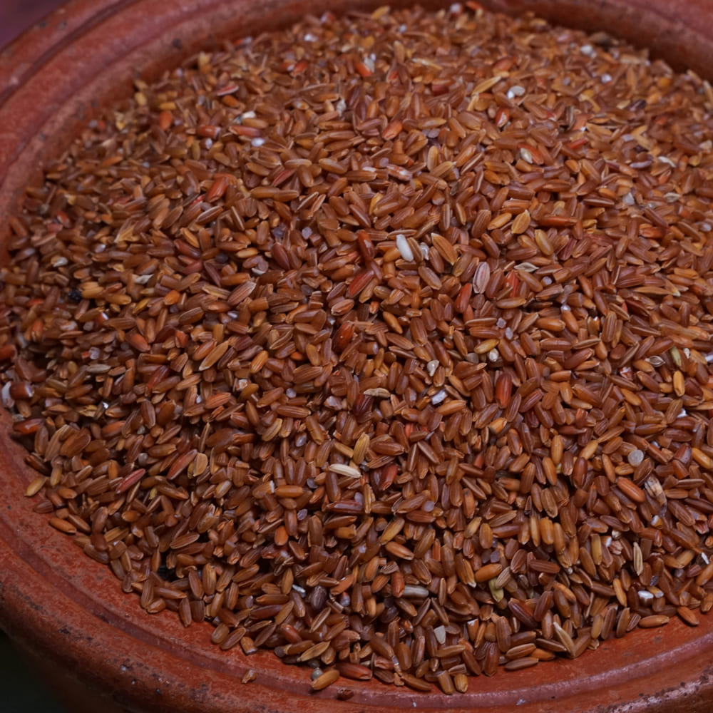 rathasali-main rathasali